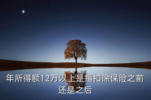 年所得12萬指的是什么，年所得12萬元以上是指什么