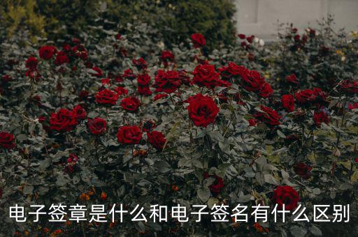 國稅電子簽章什么意思，什么是電子印章