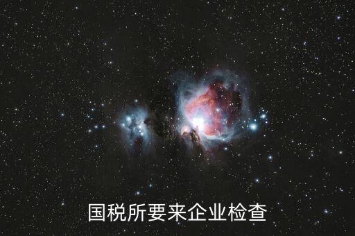 國稅督查組是做什么的，補(bǔ)交上一年的國稅國稅局把該款記入了今年的營業(yè)額中令今年的營