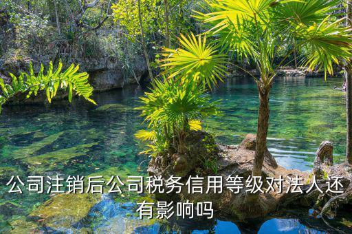 國稅評級有什么影響，納稅評估的作用有哪些