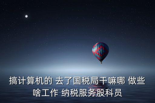 納服科是什么，搞計(jì)算機(jī)的 去了國(guó)稅局干嘛哪 做些啥工作 納稅服務(wù)股科員