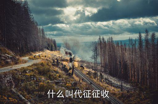 什么叫代征規(guī)費(fèi)，什么是規(guī)費(fèi)