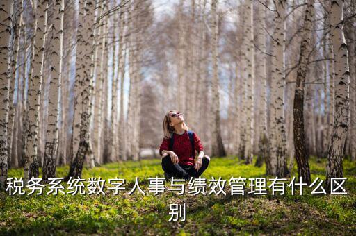 數(shù)字人事評是什么，稅務(wù)系統(tǒng)數(shù)字人事與績效管理有什么區(qū)別
