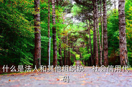 機關(guān)有社會信用代碼是什么意思，社會信用代碼與機構(gòu)信用代碼有什么不同