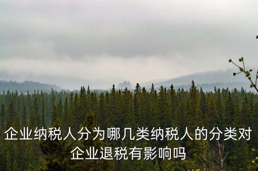 什么A級B級信用納稅人，A級增值稅一般納稅人C級增值稅一般納稅