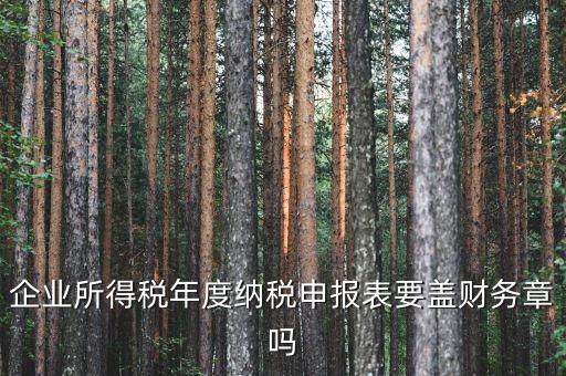 所得稅年報(bào)要蓋什么章，企業(yè)所得稅年度納稅申報(bào)表要蓋財(cái)務(wù)章嗎