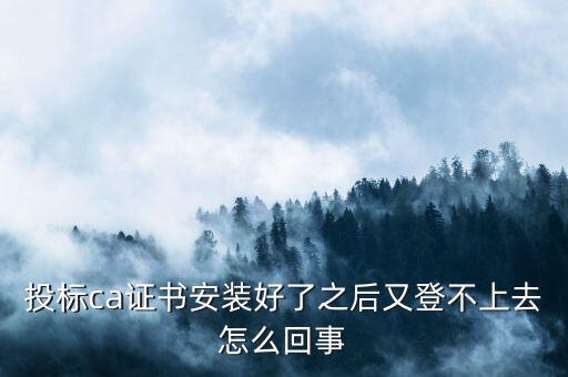 ca登陸不上是什么原因，登不上是怎么回事
