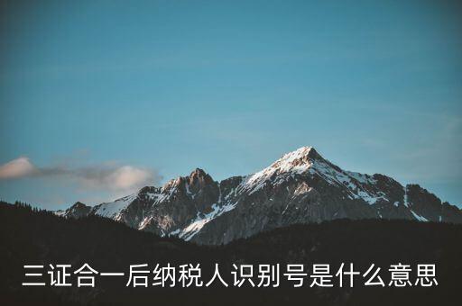 三證合一稅務(wù)識(shí)別號(hào)是什么意思，三證合一后納稅人識(shí)別號(hào)是什么意思