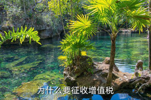 境外勞務(wù)為什么要交增值稅，為什么要交增值稅