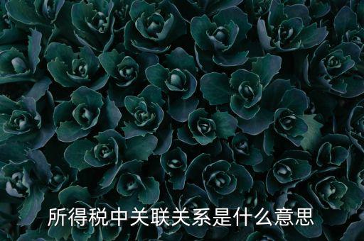 所得稅關(guān)聯(lián)表是什么意思，所得稅中關(guān)聯(lián)關(guān)系是什么意思