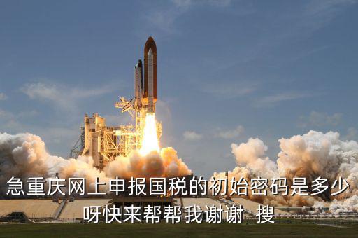 網(wǎng)上國稅申報的密碼是什么，急重慶網(wǎng)上申報國稅的初始密碼是多少呀快來幫幫我謝謝  搜