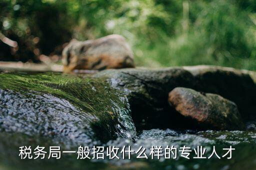 什么專業(yè)可進(jìn)稅務(wù)所，稅務(wù)局一般招收什么樣的專業(yè)人才