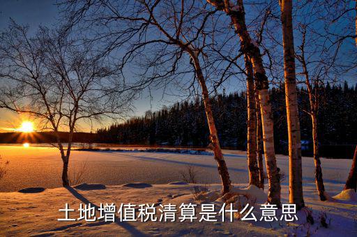 土地增值稅納稅清算什么意思，土地增值稅清算
