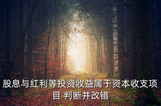 股息紅利等投資收益屬于什么，股息與紅利等投資收益屬于資本收支項(xiàng)目 判斷并改錯(cuò)