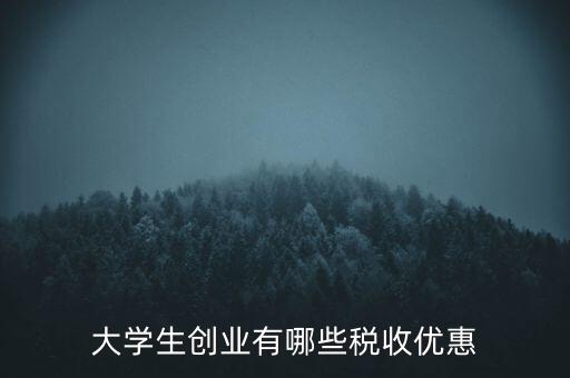 學(xué)校有什么稅收優(yōu)惠，大學(xué)生創(chuàng)業(yè)有哪些稅收優(yōu)惠