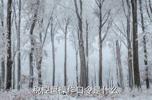 金稅盤開票密碼口令是什么意思，金稅盤清零后重新領取了發(fā)票開票口令是什么
