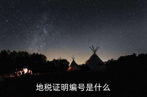 地稅證明編號是什么