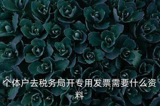 個(gè)體戶開專票需要什么，個(gè)體在國稅局開增值稅專用發(fā)票需要什么資料