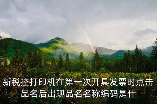發(fā)票 商品編碼是什么，發(fā)票號(hào)碼和發(fā)票代碼是什么我的發(fā)票上只有單據(jù)編碼和貨品編號(hào)啊