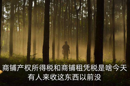 什么叫店面租憑稅，商鋪產(chǎn)權(quán)所得稅和商鋪租憑稅是啥今天有人來收這東西以前沒