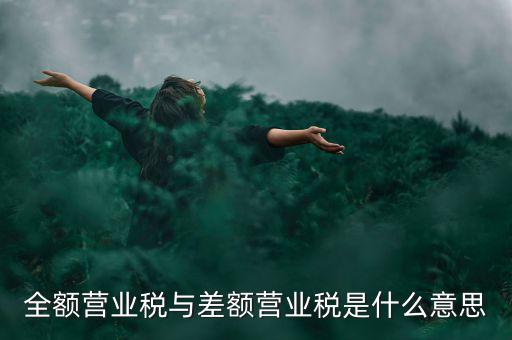 什么叫差額征稅，什么是差額稅