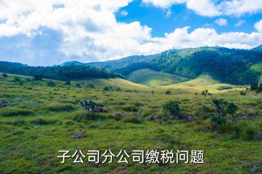 子公司繳稅在什么地方，子公司分公司繳稅問題