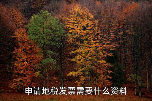 地稅局開(kāi)票需要帶什么，申請(qǐng)地稅發(fā)票需要什么資料