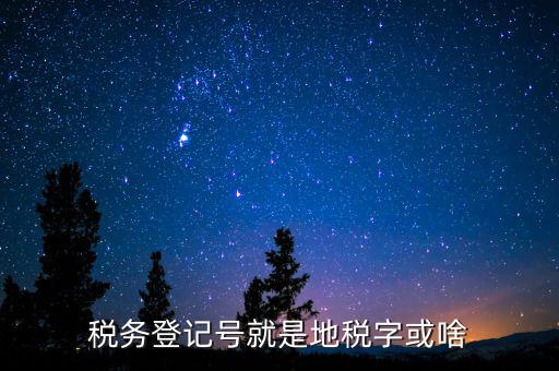 國稅地稅登記號是什么意思，稅務登記號就是地稅字或啥