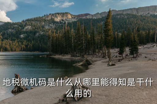 地稅登入碼是什么，地稅管理碼與稅號是同一個嗎我想知道稅務(wù)登記證上的稅字XXXXX