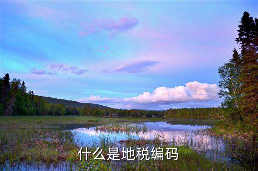 地稅登記編號是什么，什么是地稅號