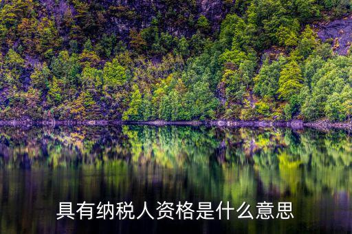 單位納稅資質(zhì)是什么，具有納稅人資格是什么意思