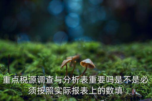 重點稅源分析分析什么，重點稅源的介紹