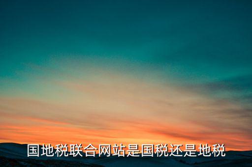 國(guó)地稅聯(lián)合辦稅是什么意思，國(guó)地稅聯(lián)合稅費(fèi)申報(bào)什么意思