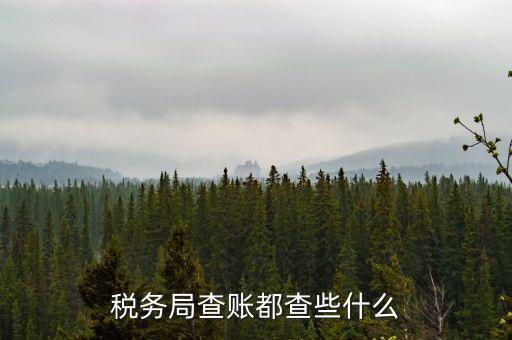 稅務(wù)局查稅一般查什么，請問一下老師一般稅務(wù)局人來查帳一般查什么的