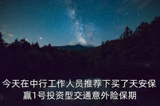 今天在中行工作人員推薦下買(mǎi)了天安保贏(yíng)1號(hào)投資型交通意外險(xiǎn)保期