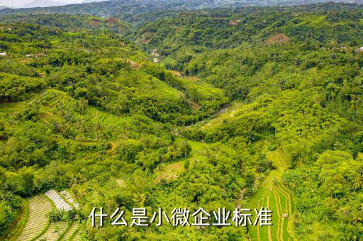 小型微利企業(yè)標準是什么，微小型企業(yè)的標準是什么