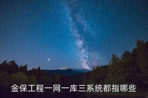什么是金三系統(tǒng)，會(huì)計(jì)證外借給公司掛靠什么也沒做就被金三系統(tǒng)監(jiān)控了
