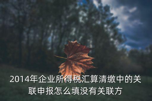 什么是關(guān)聯(lián)申報(bào)，2014年企業(yè)所得稅匯算清繳中的關(guān)聯(lián)申報(bào)怎么填沒有關(guān)聯(lián)方