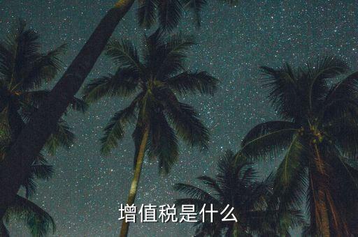 增值稅增值部分是什么，財務上增值部份是指什么如進項發(fā)票為10萬銷項發(fā)票為30萬兩項