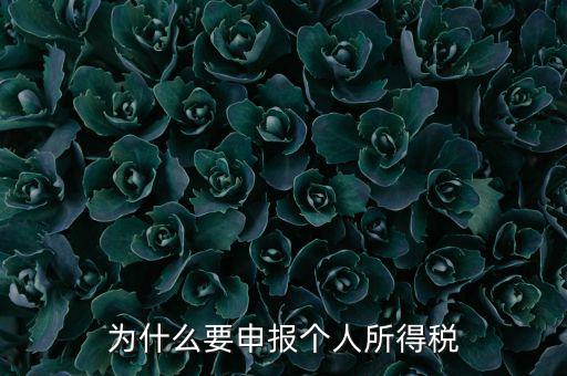 為什么要申報納稅，為什么公司老是要申報稅