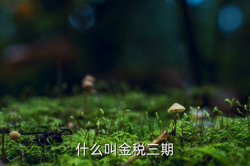 為什么叫金稅三期，2016年金稅三期上線那金稅三期到底是啥呢