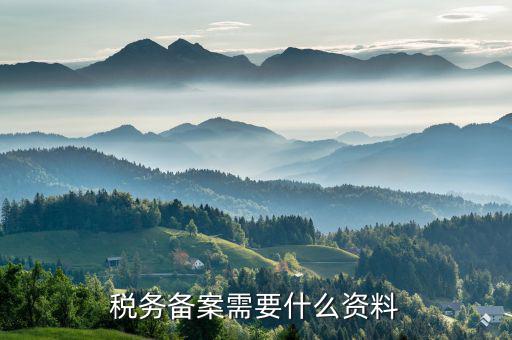 地稅局備案需要什么，到地稅局去辦理發(fā)票章備案需要帶什么