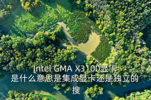 國稅集成理念是什么意思，Intel GMA X3100顯卡 是什么意思是集成顯卡還是獨(dú)立的  搜