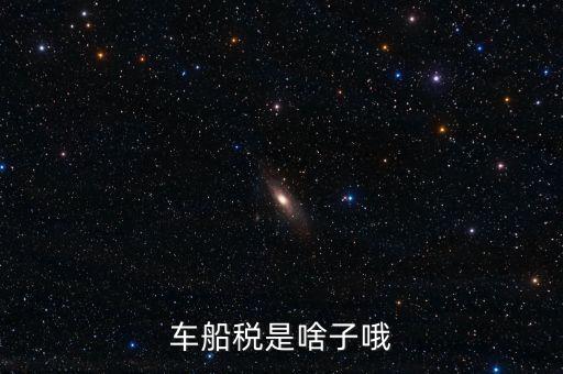保險(xiǎn)的車船稅是什么，車船稅是啥子哦