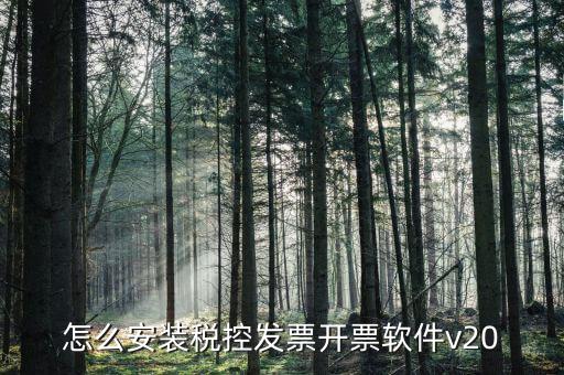 安裝開票軟件需要什么資料，怎么安裝稅控發(fā)票開票軟件v20