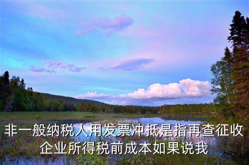 什么是非一般納稅人，非一般納稅人用發(fā)票沖抵是指再查征收企業(yè)所得稅前成本如果說我
