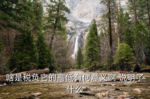 什么是稅負分析，增值稅稅負什么意思