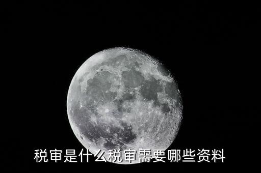 什么是大企業(yè)稅務(wù)審計(jì)，審計(jì)和稅務(wù)