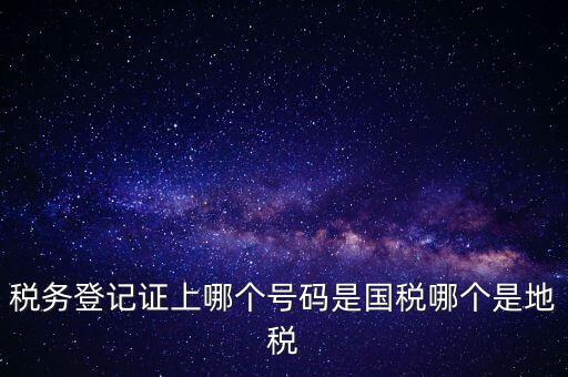 國稅地稅登記號是什么，稅務登記證上哪個號碼是國稅哪個是地稅