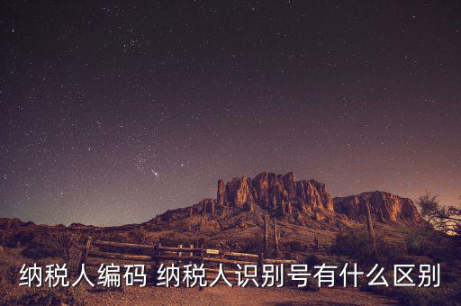納稅人的識(shí)別號(hào)是什么意思，納稅人識(shí)別號(hào)是什么